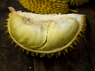 开云首页入口基地展示二