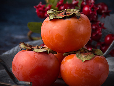 开云首页入口基地展示四