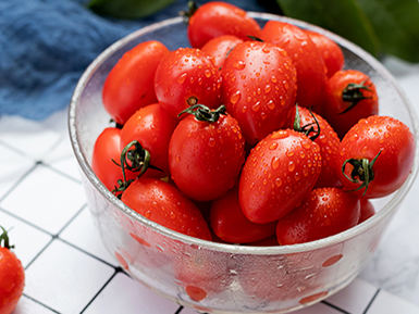 开云首页入口基地展示六