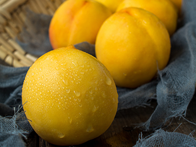 开云首页入口基地展示一