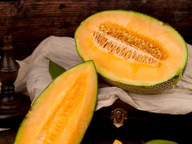 开云首页入口基地展示一